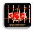 Comforting Hearts Prison Ministry Logo